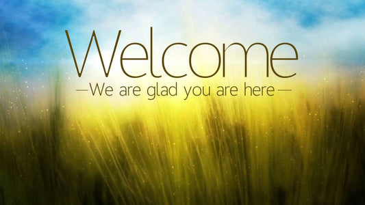 Welcome to our website