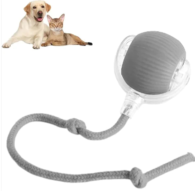 Rolling Ball Ball For Dogs Doggie Ball Interactive Dog Smart Ball Toy   Shop Rayco | Rayco International Ltd.