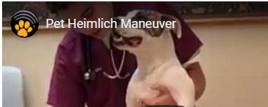 Pet Heimlich