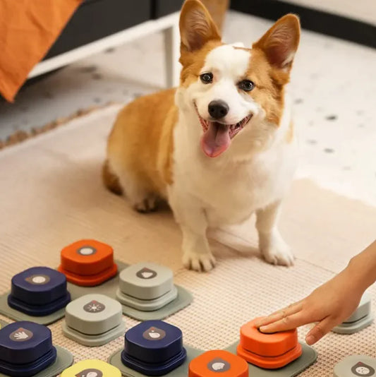 Pet Communication Buttons. Talk with your pet!