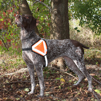 Reflective Safety Vest - Medium Size Breeds