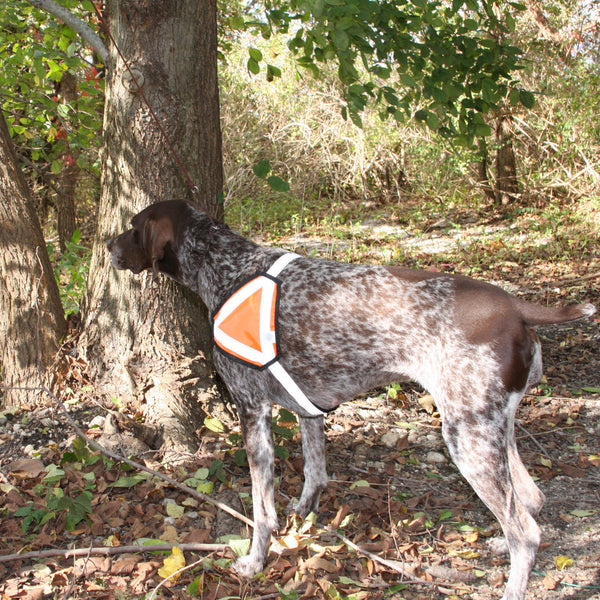 Reflective Safety Vest - Medium Size Breeds