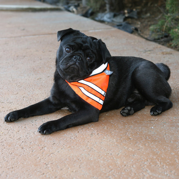 Reflective Safety Bandana - Small Breeds