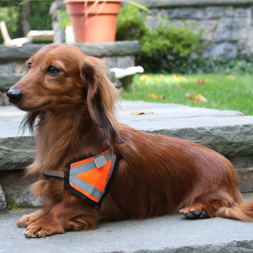 Reflective Safety Vest - Small Size Breeds